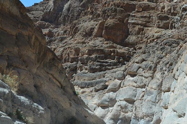 DSC_0681.JPG