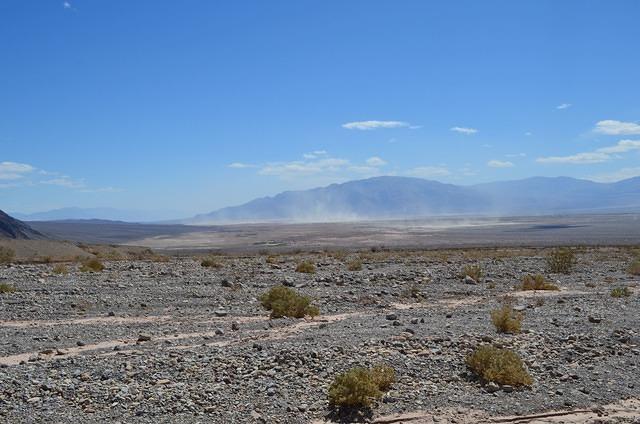 DSC_0695.JPG