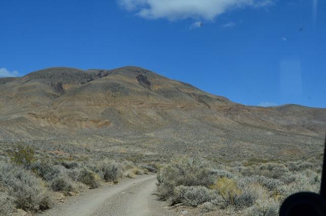 DSC_0696.JPG