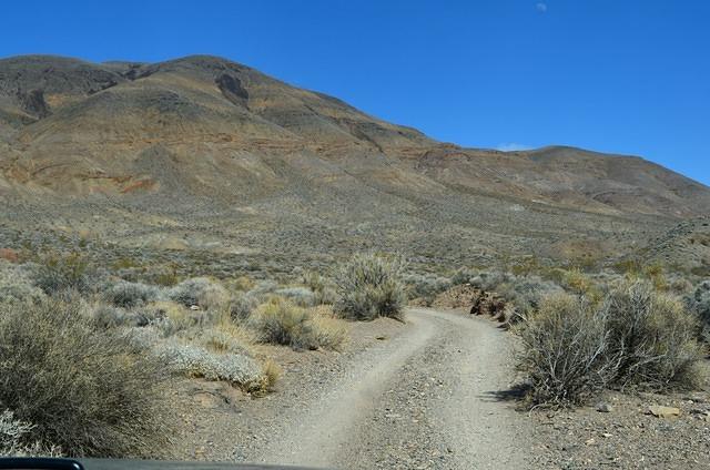 DSC_0697.JPG