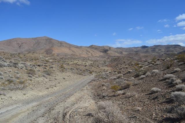 DSC_0700.JPG