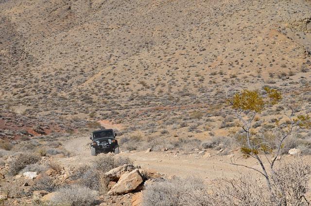 DSC_0703.JPG