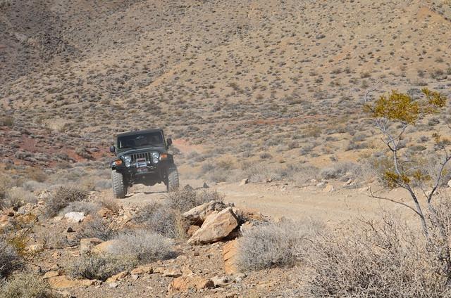 DSC_0705.JPG