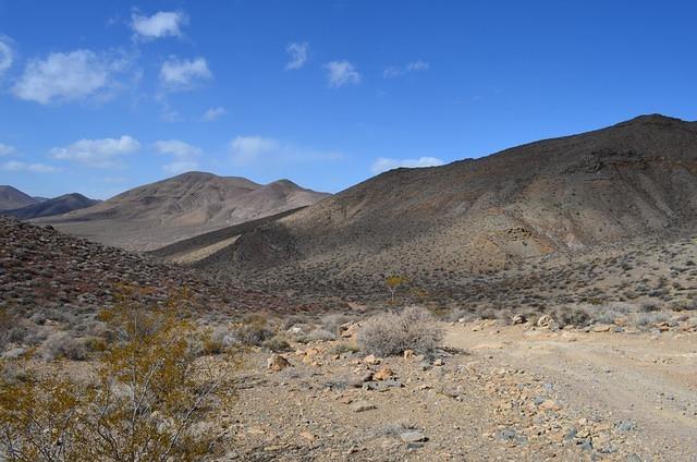 DSC_0709.JPG