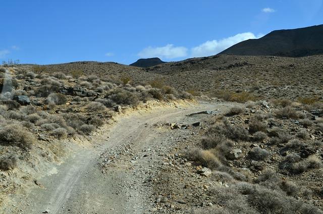 DSC_0710.JPG