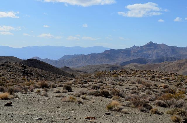 DSC_0712.JPG