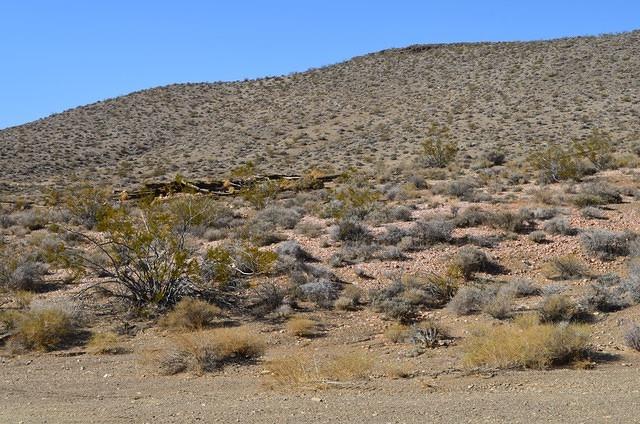 DSC_0715.JPG