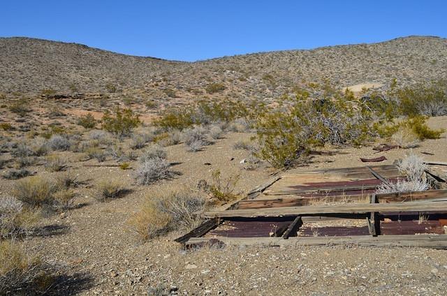DSC_0716.JPG