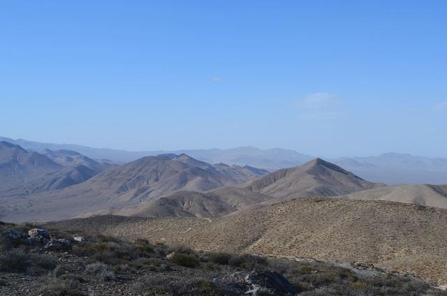 DSC_0726.JPG