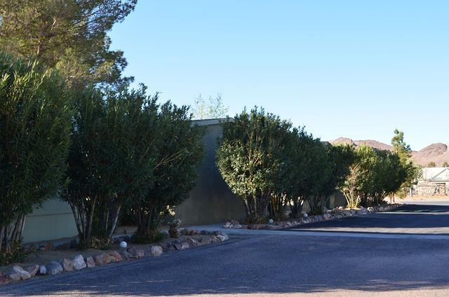 DSC_0744.JPG