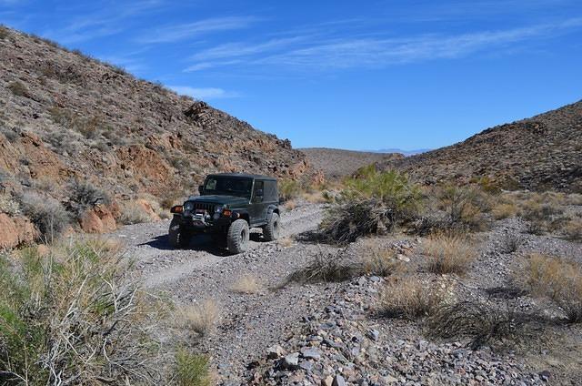DSC_0764.JPG