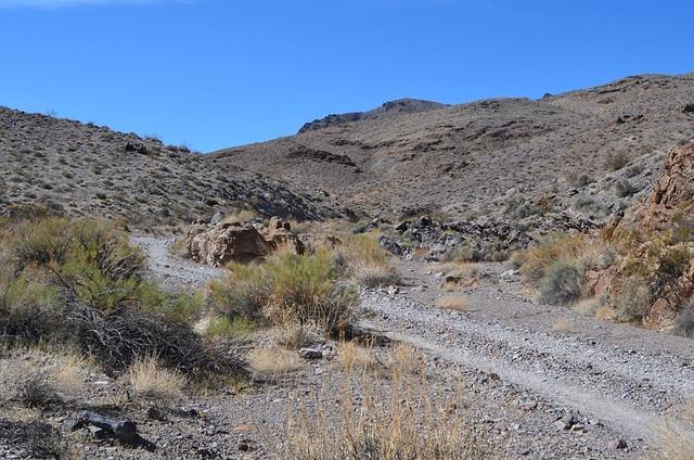 DSC_0765.JPG