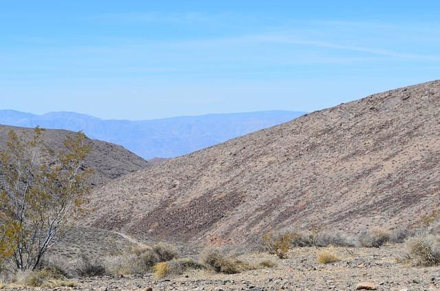 DSC_0799.JPG