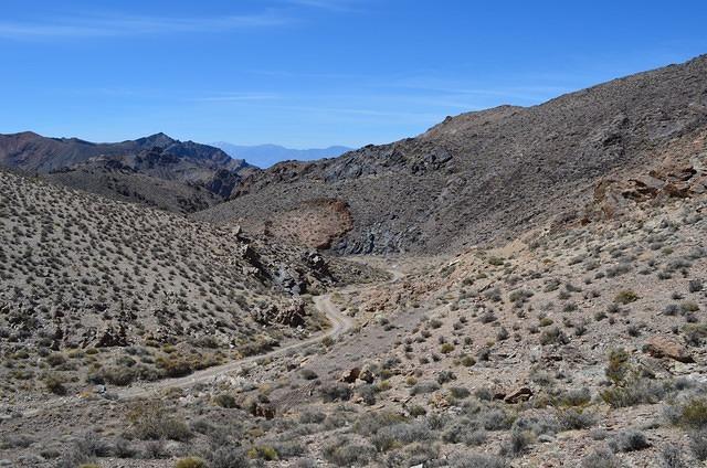 DSC_0804.JPG