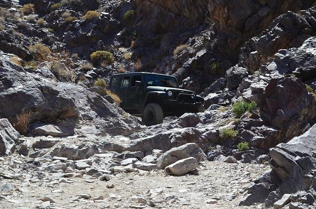 DSC_0811.JPG