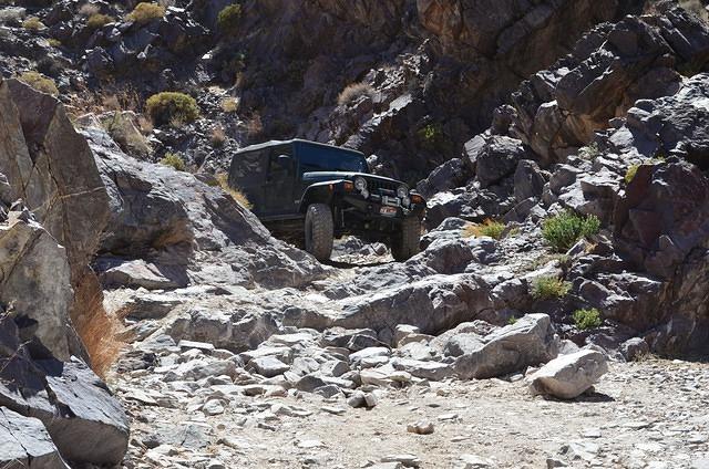DSC_0824.JPG