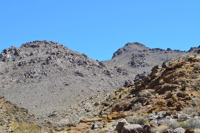 DSC_0834.JPG