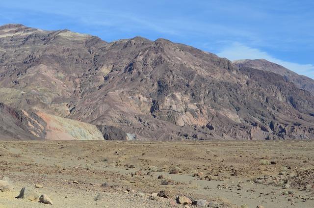 DSC_0879.JPG