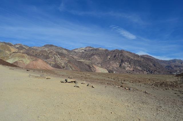 DSC_0880.JPG