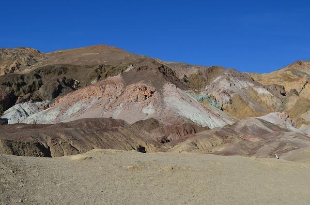 DSC_0890.JPG