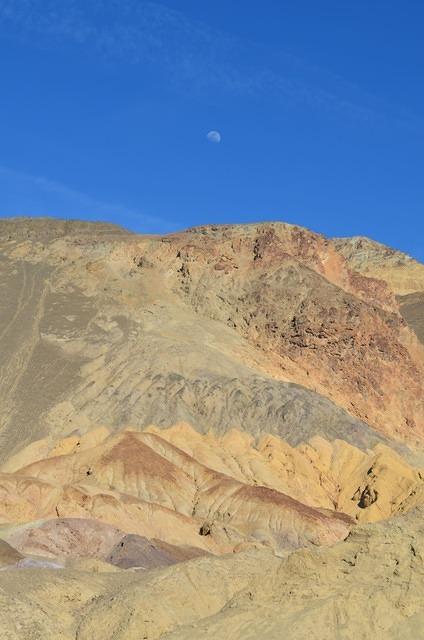 DSC_0896.jpg