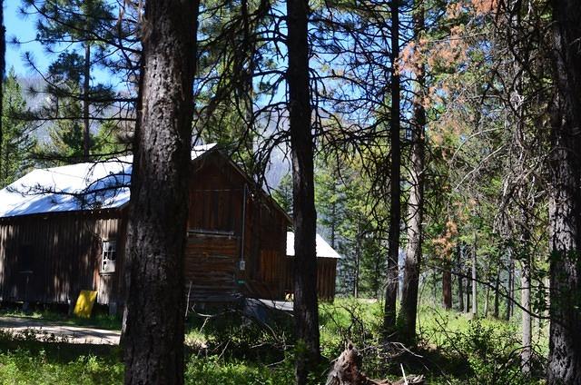 Welcome to Yellow Pine! July 4, 2012