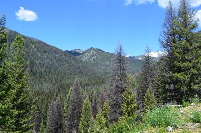 What we had to look at while waiting.