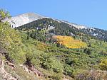 DSCN0504