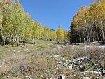 DSCN0535