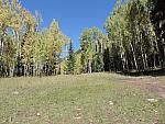 DSCN0537