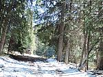 DSCN0539