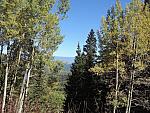 DSCN0551
