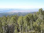 DSCN0578