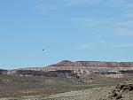 DSCN0588