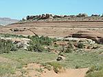 DSCN0607