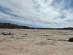 DSCN0610
