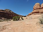 DSCN0683