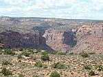 DSCN0709