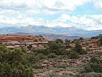 DSCN0713