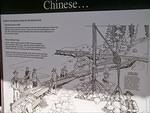 Chinese laborers were brought in to work the mines. Thye have all left!