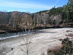 Ice forms on the shore of the Boise River.