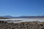 The road to 'chicken rock' went past some water. a rarity in Death Valley.