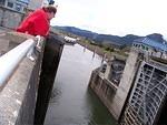 Bonneville Dam has newish locks. When these doors open, the road bridge also moves.