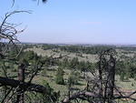 P1010175.JPG
