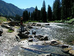 Anthony and Buster enjoying the water on Grandjean Creek