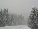 By the time we got close to Yellowstone Park, the roads were pretty bad!