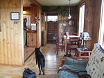 Buster is watching Jeff cook; maybe he will get some human food. The dining table overlooks the ocean.