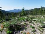 Wilson Peak's (?) views aare beautiful too. The Sawtooths are in the distance.