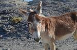DSC_0087.JPG