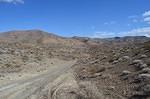 DSC_0700.JPG